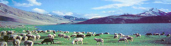 Chandertal Lake, Himachal Pradesh, India