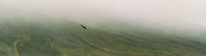 Lahaul, Himachal Pradesh, India
